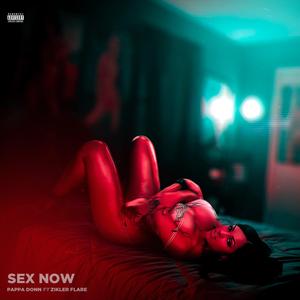 Sex Now (feat. Zikler Flare)