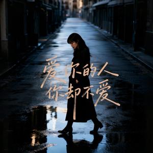 爱你的人你却不爱