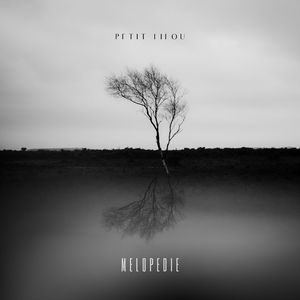 Melopedie
