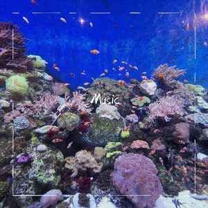 群星-虫儿飞（SanFeng remix）