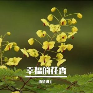 穿过街角的思念