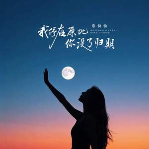 我停在原地你没了归期