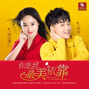 你是我最美依靠 (伴奏)