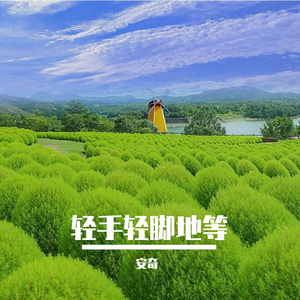 樱花雨的浪漫序章