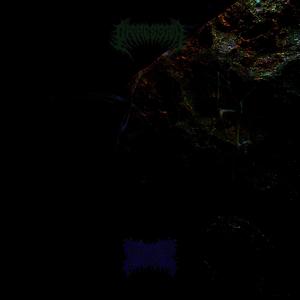 Metamorphous Disorder