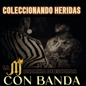 Coleccionando Heridas (Banda)