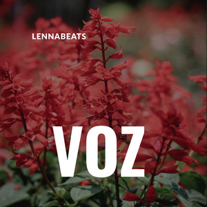 Voz