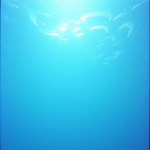 海の中の空で (Ver. 1)