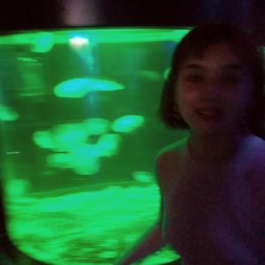 2月14号有流星雨