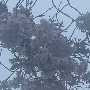 和みのピアノジャズローファイ