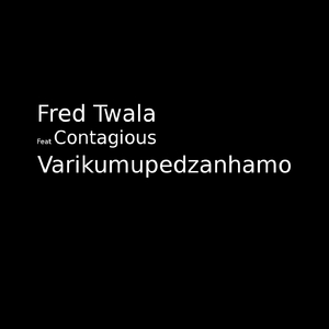 Varikumupedzanhamo (Ndinokumbirira)