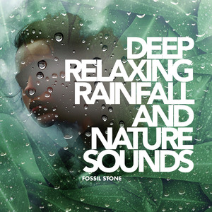 Chattering Birdsongs