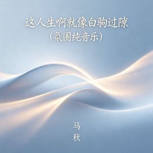 这人生啊就像白驹过隙(氛围纯音乐）
