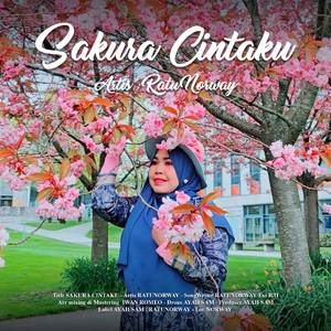 Sakura Cintaku