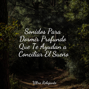 Sueño Profundo