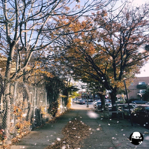 Making Snow in New York