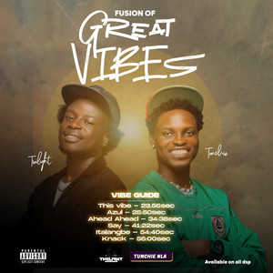 Fusion of Great Vibes