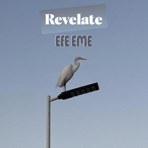 REVELATE