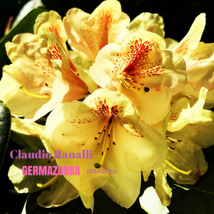 Germazurka (Mazurka)