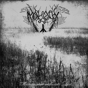 Unsichtbarer Faden des Lebens