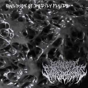 Emulsion of bodily fluids