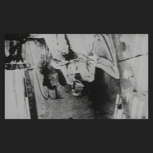 向死者宣言(Declaration to the dead)