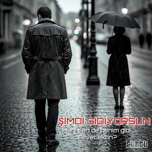 Şimdi gidiyorsun