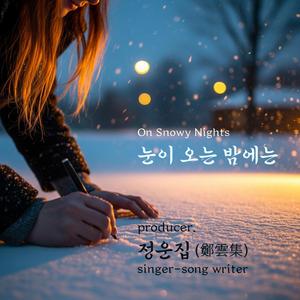 눈이 오는 밤에는