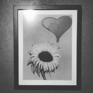 Girasoles