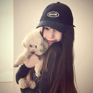 心动那天就预售了心酸