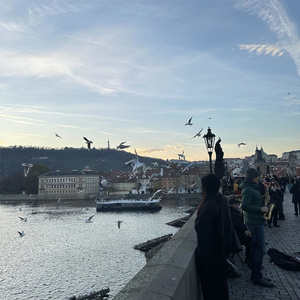 迷幻包厢咚咚咚