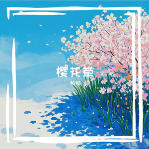 樱花草
