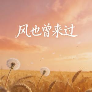 风也曾来过
