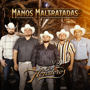 Manos Maltratadas