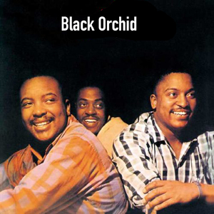 Black Orchid