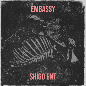 Embassy