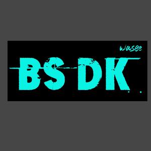 BS DK