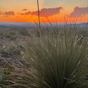 Your Face Looks Drunk