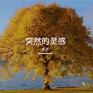 突然的灵感 (19)
