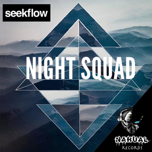 Night Squad (Original Mix)