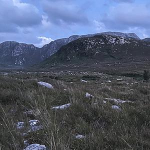 The Bright Lights of New York City HDM