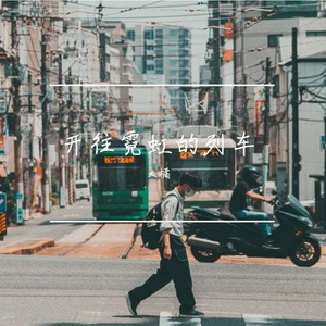 开往霓虹的列车