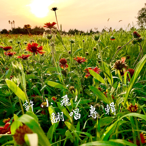 寂寞边界（Cover 张栋梁）