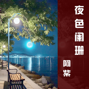 夜色阑珊