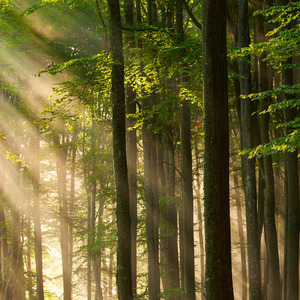 雨中断弦的乐章