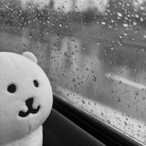 小乖 可惜常青树并不长情