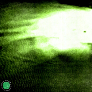 Muerte de los 010101001