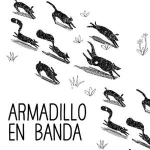 Armadillos