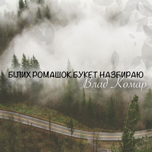 Білих ромашок букет назбираю