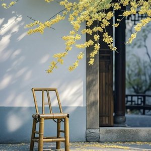 爸爸的花儿落了.wav